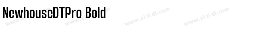 NewhouseDTPro Bold字体转换